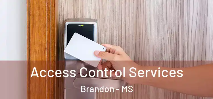 Access Control Services Brandon - MS
