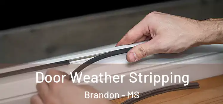 Door Weather Stripping Brandon - MS