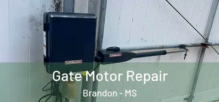 Gate Motor Repair Brandon - MS