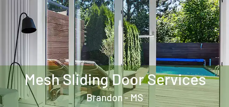 Mesh Sliding Door Services Brandon - MS