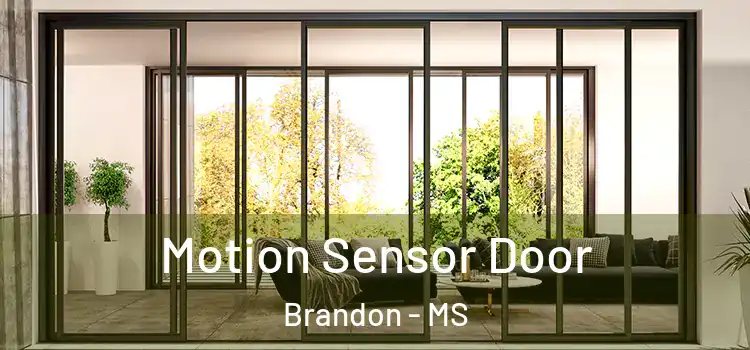 Motion Sensor Door Brandon - MS