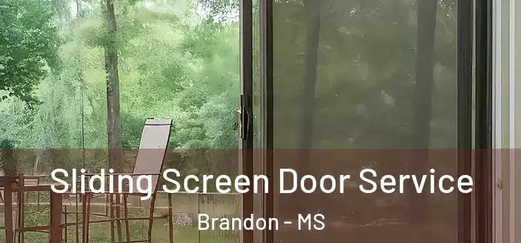 Sliding Screen Door Service Brandon - MS